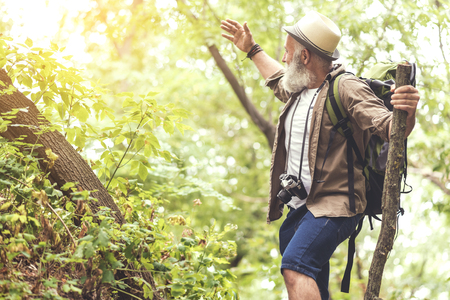 Joyful old male tourist admiring beautiful forestの写真素材