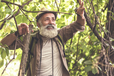 Joyful old male hiker making his way through branches in forestの写真素材