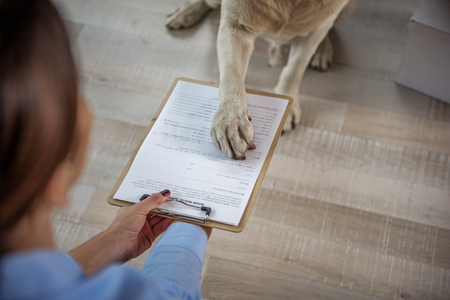Dog making signature on paperの写真素材