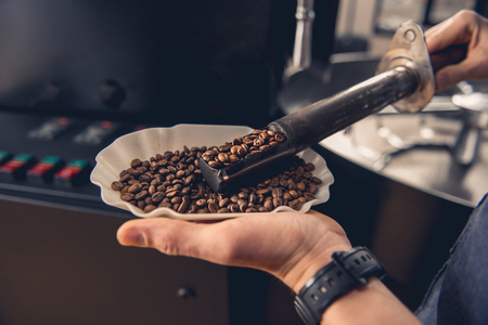 Close up man hands keeping bowl with beans and controlling their preparation with tool. Occupation conceptの写真素材