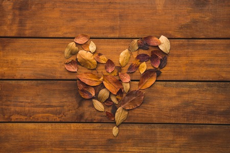 Top view close up heart-shaped herbarium situating on brown background. Romantic conceptの写真素材
