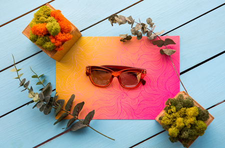 Top view close up of modern spectacles situating on colorful paper near pots of plantsの写真素材