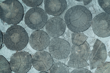 Wooden background. Round cross sections of trees placed into the wall depicted in the horizontal photoの写真素材