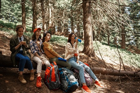Joyful women walking with backpacks through pine wood.の写真素材