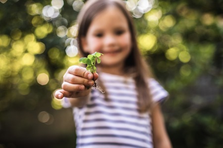 Little girl showing young herb before planting. Focus on sprout in her handの写真素材
