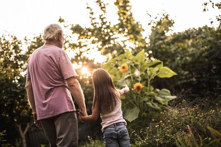 Back view of old man and his little granddaughter. They standing in garden and she pointing finger at flowerの写真素材