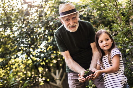 Beautiful little girl and her grandfather holding young small sprig before planting it on plot of land. Copy space on left sideの写真素材