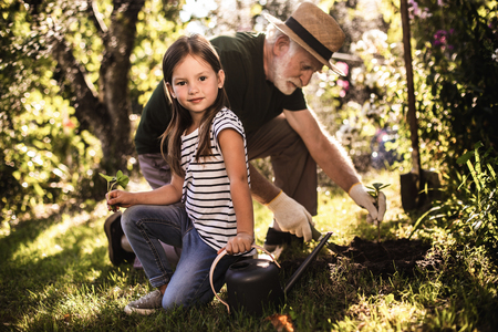 Little girl standing on one knee with watering can and her grandpa planting on backgroundの写真素材