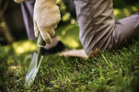 Close up of gardener hand in work gloves digging with small shovel on lawn