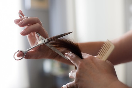 Close up of female hands cutting split ends. She is using comb and scissors during hairdo in beauty studioの写真素材