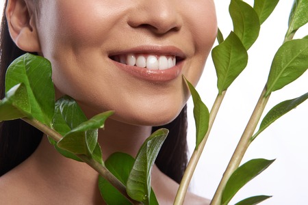 Leaves on the branch near the face of smiling womanの写真素材