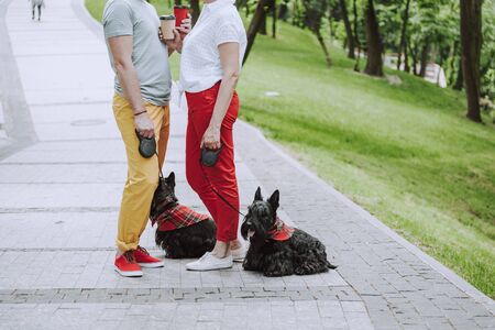 Adult couple with two black scotch terriers drinking coffeeの写真素材