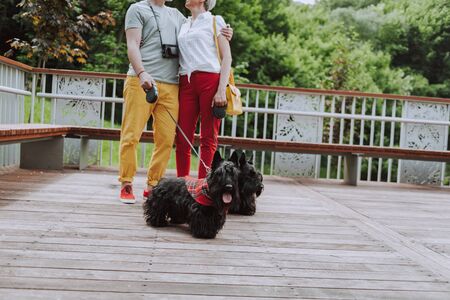Happy adult couple standing with two scotch terriers in squareの写真素材