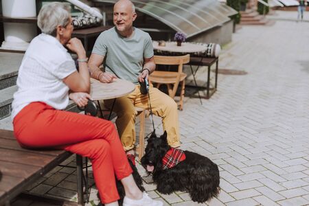 Hapyy adult couple with dogs sitting in cafe in the cityの写真素材