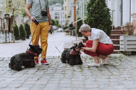 Mature gray-haired woman petting a dog outdoorsの写真素材
