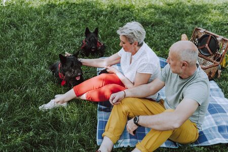 Happy man and woman sitting on plaid in the parkの写真素材