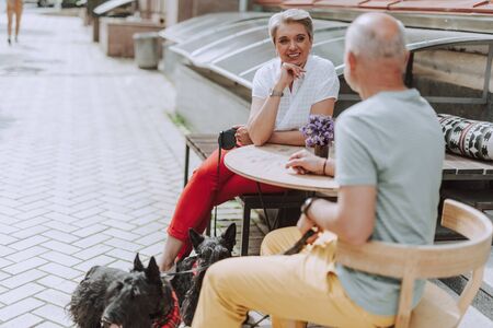 Adult couple with dogs sitting in cafe outdoorsの写真素材