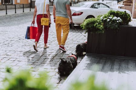 Husband and wife with their dogs walking along the streetの写真素材