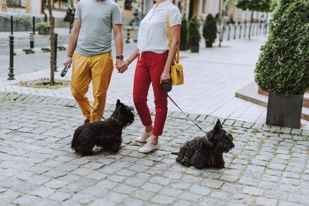 Adult couple walking with two dogs on leashes