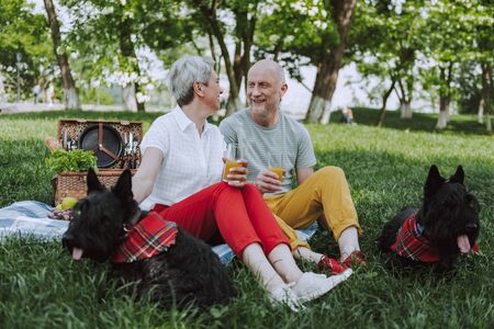 Happy adult couple on picnic in the park with dogsの写真素材