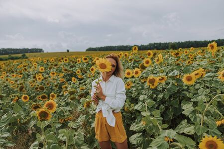 Pretty young lady taking photo with sunflower in fieldの写真素材