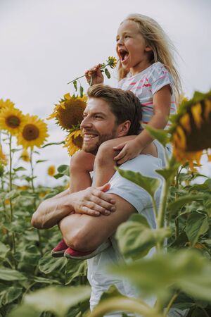 Handsome young dad walking in the field of sunflowersの写真素材