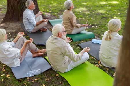 Group of senior people practicing yoga outdoorsの写真素材