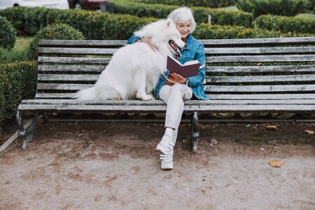 Happy elderly woman reading book to her cute dog in parkの写真素材