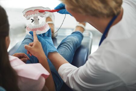 Close up of a jaw model in hands of a dentist
