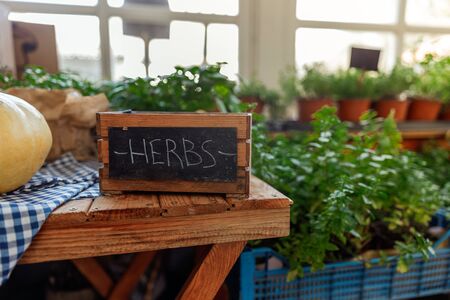 Pumpkin lying on the desk near a square boxの写真素材