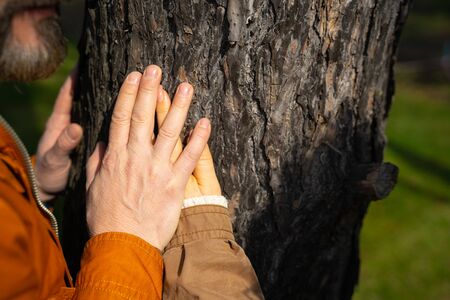 Couple in love placing hands on treeの写真素材