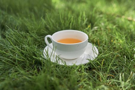Close up top view of porcelain mug with hot drink on plate standing in yard in countrysideの写真素材