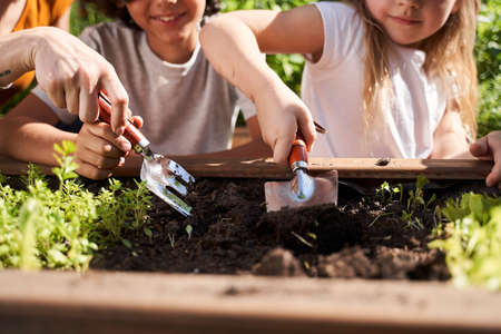 Little girl and boy preparing soil for plantsの写真素材