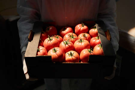 Man in latex gloves demonstrating fresh produceの写真素材
