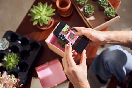 Male florist taking photos of cactusesの写真素材