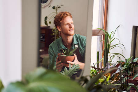 Handsome man holding plant in hands