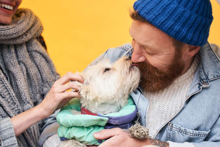 Puppy in jumpsuit licking the nose of his ownerの写真素材