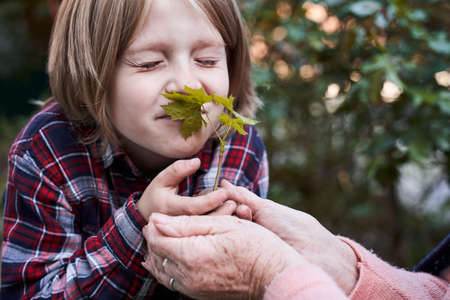 Boy inhales the scent of green leavesの写真素材