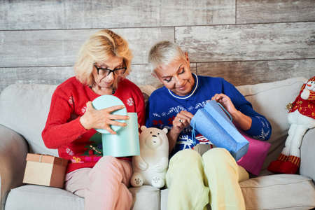 Women looking at the christmas gifts