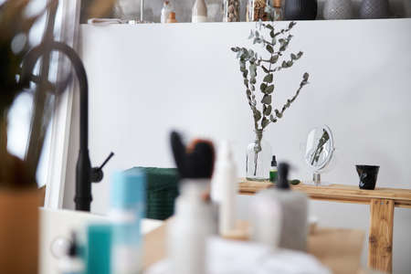 Glass vase with with eucalyptus branchの写真素材