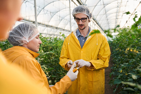Team of young agronomists working in hothouse