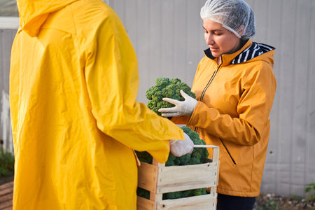 Smiling agronomists examining vegetable harvest on farmの写真素材