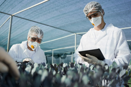 Agronomists with tablet working together in hothouseの写真素材