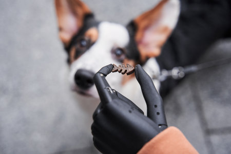 Dog looking attentively at the hand of his female owner