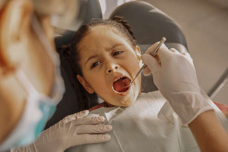 Female dentist examining teeth of little girlの写真素材