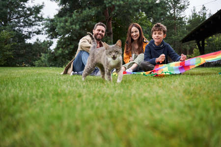 Happy family having picnic and looking at cute catの写真素材
