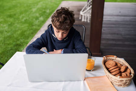 Adorable curly-haired boy using modern laptop outdoorsの写真素材