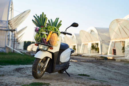 Scooter with fruits and vegetables in basketの写真素材