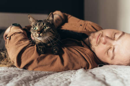 Striped cat laying at his bearded owner and looking away while relaxingの写真素材