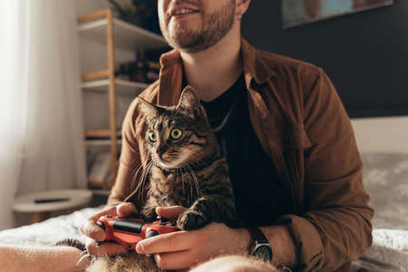 Cat sitting at the laps of his owner and looking at the tv while man is playingの写真素材